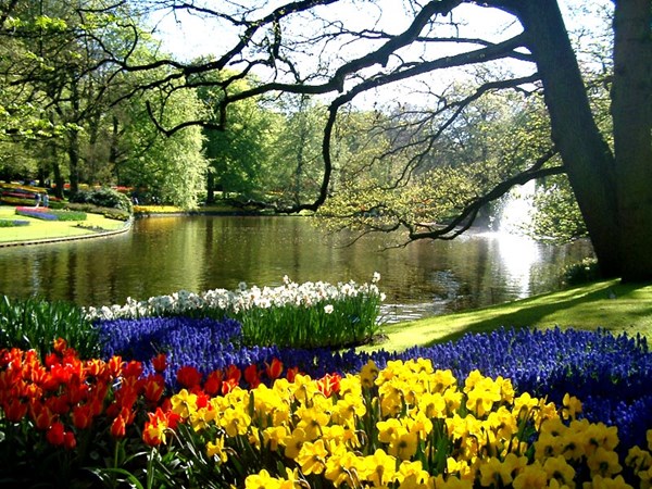 Những khu vườn đẹp nhất thế giới,vườn Keukenhof, Hà Lan