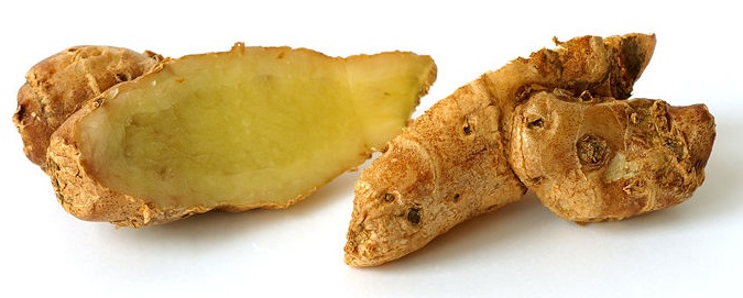 Địa liền,thiền liền,tam nại,sơn nại,sa khương,kaempferia galanga,họ Gừng,Zingiberaceae,tác dụng của địa liền,củ địa liền,bài thuốc từ địa liền,địa liền ngâm rượu