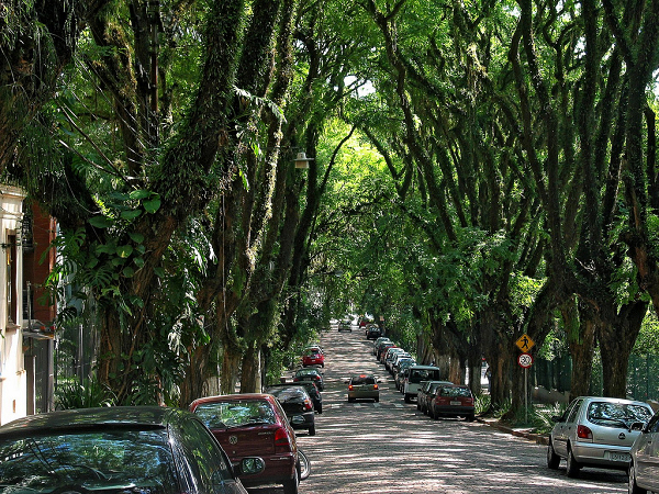 Đường Goncalo de Carvalho ở Brazil