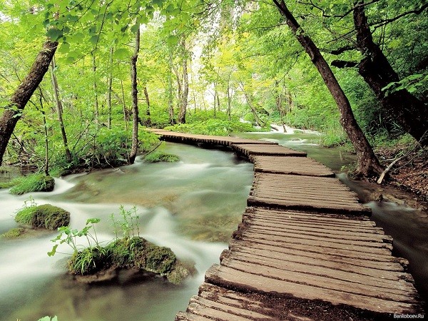 Đường mòn qua hồ Plitvice ở Croatia