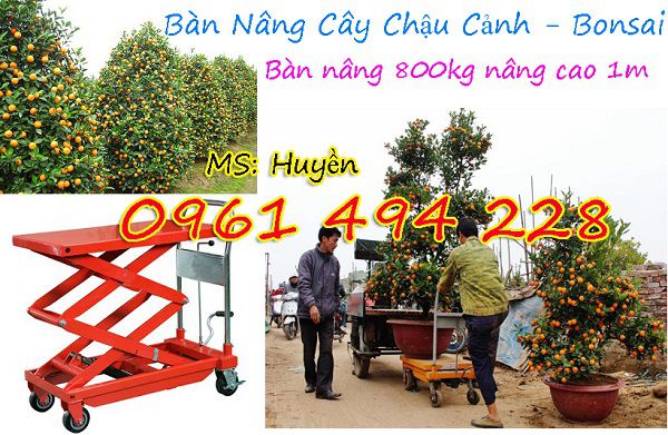 bàn nâng cây cảnh,bàn nâng chậu cảnh,bàn nâng cây chậu cảnh