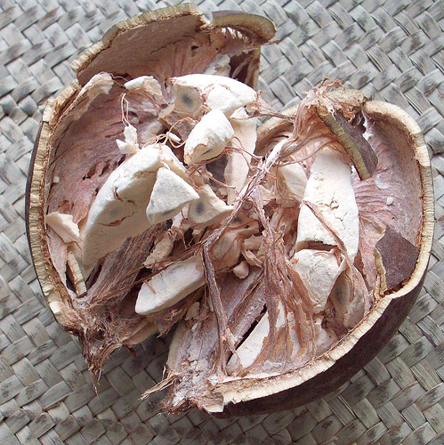 Bao báp,cây bao báp,họ gạo,boab,Bombacaceae,cây lớn nhất thế giới,bao báp châu Phi,Bao báp Madagasca,Bao báp Grandidier,Bao báp Perrier,Bao báp Suarez,Bao báp Za,Adansonia digitata,Adansonia grandidieri,Adansonia gregorii,Adansonia madagascariensis,Adansonia perrieri,Adansonia rubrostipa,Adansonia suarezensis,Adansonia za