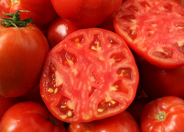 Cà chua,cây cà chua,họ bạch anh,tomato,Solanum lycopersicum,Lycopersicon lycopersicum (L.) H. Karst,Lycopersicon esculentum Mill,cây thực phẩm,cây ăn quả
