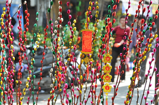 Nụ tầm xuân