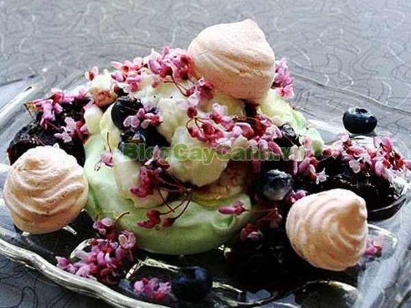 Cây Hoa Hạnh Phúc,cây hoa hạnh phúc, hình ảnh cây hoa hạnh phúc, cây hoa hạnh phúc đẹp, công dụng cây hoa hạnh phúc, cay hoa hanh phuc, cây hạnh phúc,