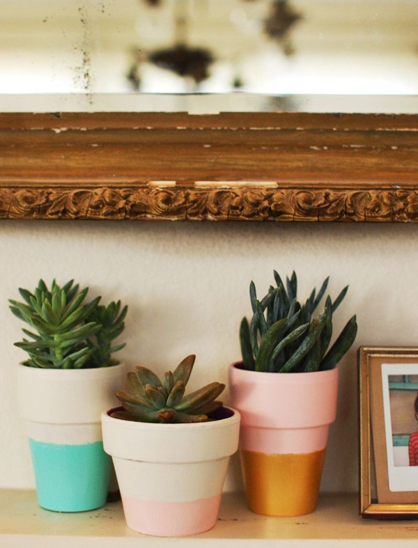 Những chiếc chậu có ưu điểm nhỏ gọn và có rất nhiều loại chậu trồng cây xinh xắn để lựa chọn