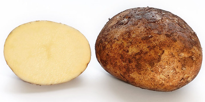 Khoai tây,củ khoai tây,hoa khoai tây,tác dụng của khoai tây,độc tính của khoai tây,trồng cây khoai tây,solanum tuberosum,potato,họ cà,solanaceae,cây lương thực,cây thực phẩm