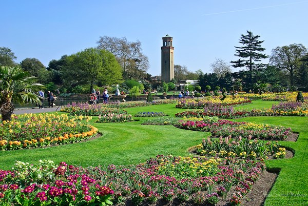 Những khu vườn đẹp nhất thế giới,vườn bách thảo hoàng gia Kew, Anh