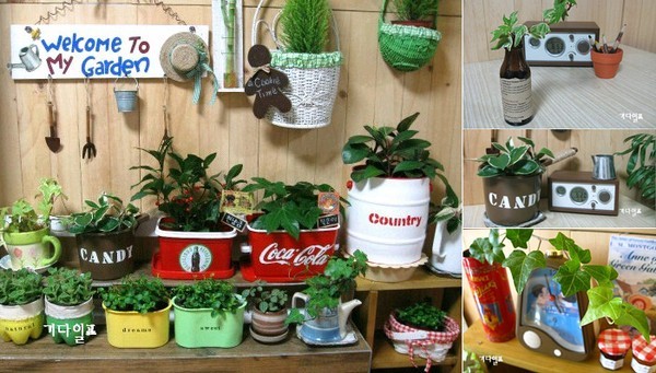 Tái chế các kiểu đồ thừa thành chậu cây xinh xắn