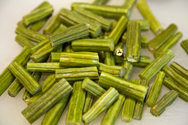 Chùm ngây,Cây chùm ngây,chùm ngây,ba đậu dại,moringa oleifera,moringa,moringaceae,cây thần diệu,miracle tree,cây kỳ quan,wonder tree,cây vạn năng,multipurpose tree,cây độ sinh,tree of life,cây cải ngựa,horseradish tree,cây dùi trống,drumstick tree,cây dầu bel,bel-oil tree,bel-oil