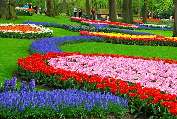 Những khu vườn đẹp nhất thế giới,vườn Keukenhof, Hà Lan