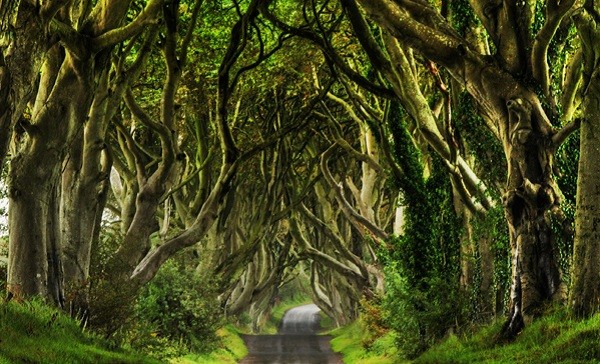 Hàng rào Trung cổ ở Bắc Ireland