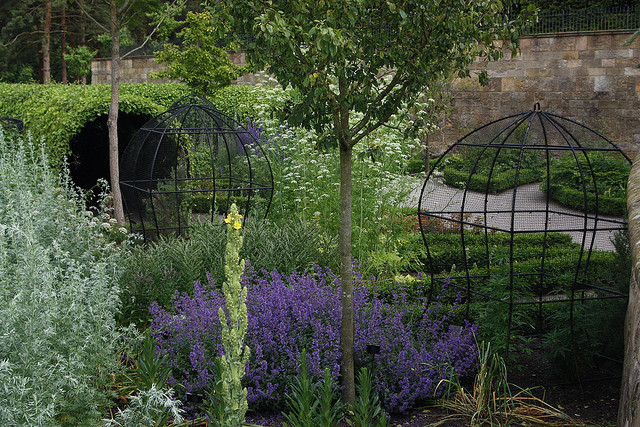 Khu vườn Alnwick Poiso