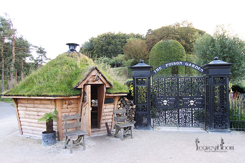 Khu vườn Alnwick Poiso
