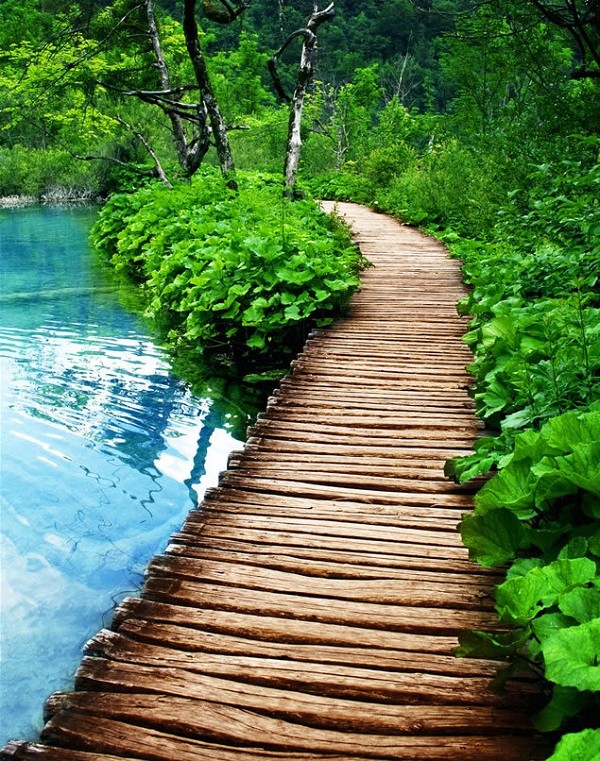 Đường mòn qua hồ Plitvice ở Croatia