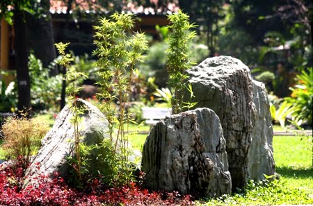 Cây xanh ngoại thất