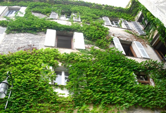 Vườn cây trên tường