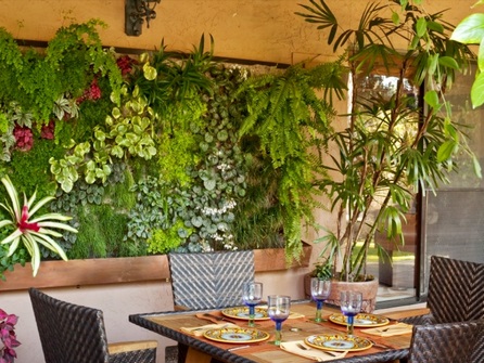 Trồng cây trên tường