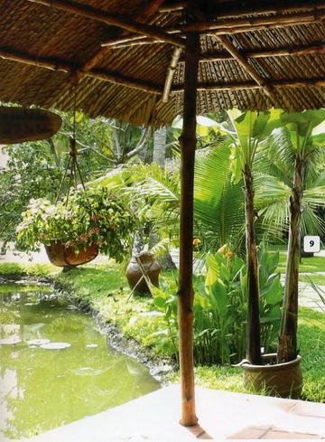 Cây xanh theo phong thủy