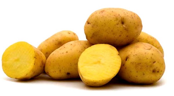 Khoai tây,củ khoai tây,hoa khoai tây,tác dụng của khoai tây,độc tính của khoai tây,trồng cây khoai tây,solanum tuberosum,potato,họ cà,solanaceae,cây lương thực,cây thực phẩm