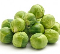 Cải bắp tí hon,bắp cải tí hon,cải bắp dại,bắp cải dại,cái bắp Bỉ,cách trồng bắp cải tí hon,tác dụng của cải bắp tí hon,Brussels,Brussels Sprouts,cải Brussels,Cải bắp tí hon