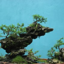 Hòn non bộ mini - mẫu tham khảo 05