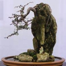 Hòn non bộ mini - mẫu tham khảo 07