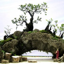 Hòn non bộ mini - mẫu tham khảo 12