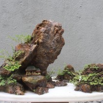 Hòn non bộ mini - mẫu tham khảo 16