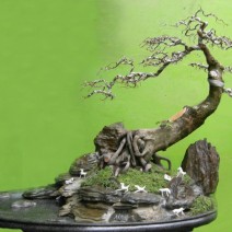 Hòn non bộ mini - mẫu tham khảo 17