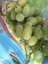 trái cây,mua bán cây cảnh,hoa cảnh,sinh vật cảnh,hòn non bộ,Toàn quốc,Bái trái cây nhập khẩu và trái cây quê ở Đà Nẵng