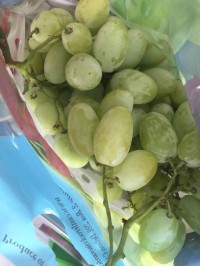trái cây,mua bán cây cảnh,hoa cảnh,sinh vật cảnh,hòn non bộ,Toàn quốc,Bái trái cây nhập khẩu và trái cây quê ở Đà Nẵng