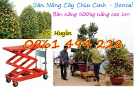 bàn nâng cây cảnh,bàn nâng chậu cảnh,bàn nâng cây chậu cảnh,Bàn nâng hạ cây chậu cảnh - Nâng hạ cây cảnh, chậu cảnh sẽ không còn vất vả nữa